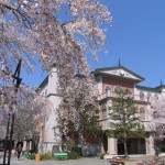 東映太秦映画村、春の恒例行事「映画村さくらまつり」を開催